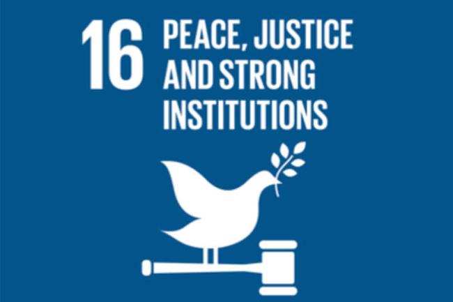 Public Institutions and the SDGs