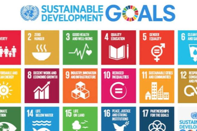 Sustainable Development Goals