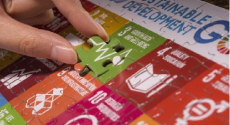 Integrated Policies and Policy Coherence for the SDGs